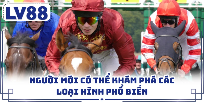 Người mới có thể khám phá các loại hình phổ biến